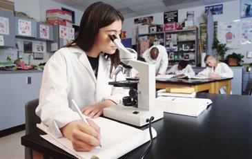 Veterinarian looking into Microscope